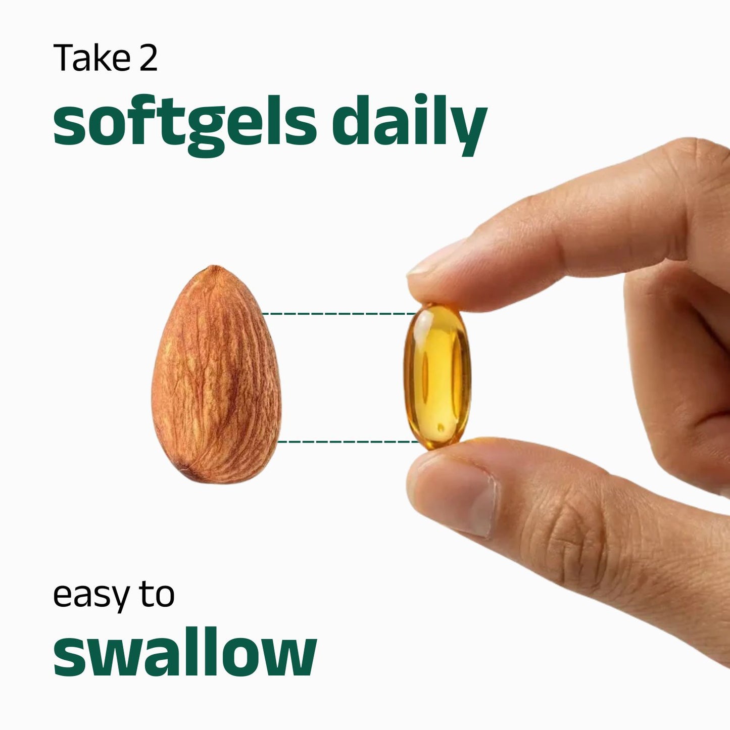 Aged Garlic Extract - Odorless Softgels