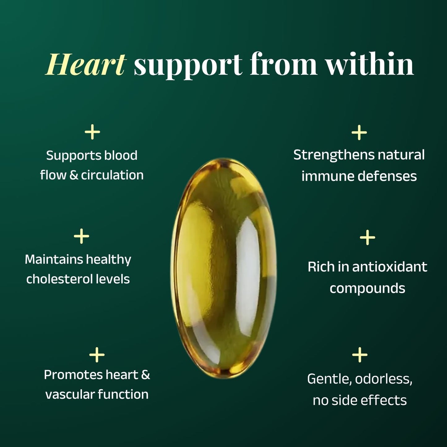 Aged Garlic Extract - Odorless Softgels